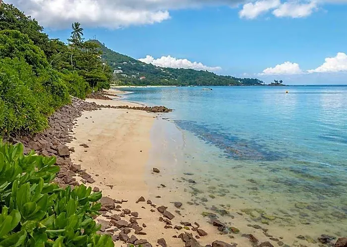 Fleur De Sel Hotel Anse Boileau